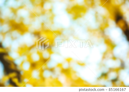 Blurred view of autumn foliage outdoors. Bokeh effect Blurred view of autumn foliage outdoors. Bokeh effect 85166167