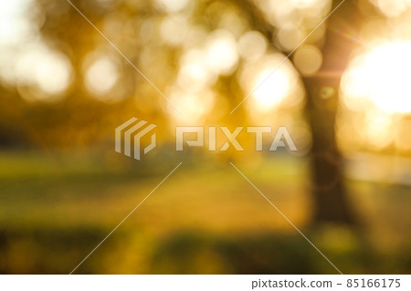 Blurred view of autumn park. Bokeh effect Blurred view of autumn park. Bokeh effect 85166175