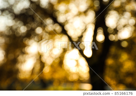 Blurred view of autumn park. Bokeh effect 85166176