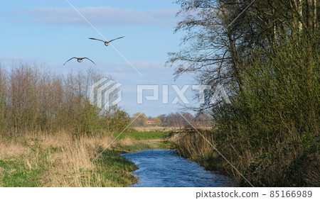 two birds flying over a river against a blue sky 85166989