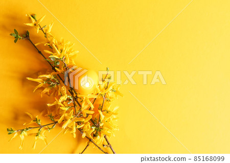 Yellow candle in the shape of egg and beautiful spring forsythia plant branches. 85168099