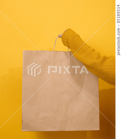 female hand holds a paper disposable bag with handles for groceries and clothes. Recyclable packaging. Zero waste 85169314
