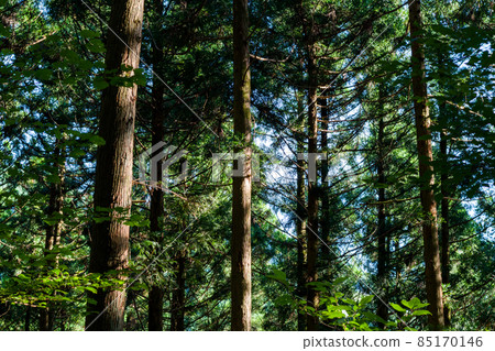 【439國道】路旁風景 85170146