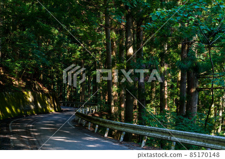 【439國道】穿過樹林的狹窄小路 85170148