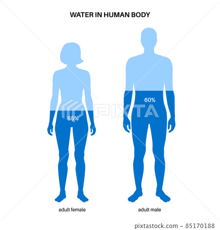 Water body balance 85170188