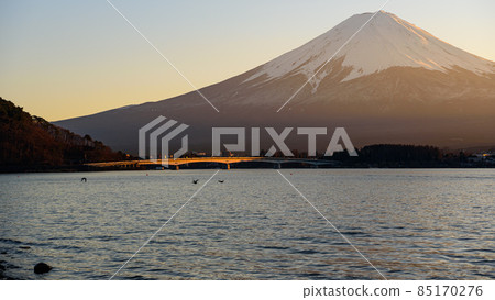View of Lake Kawaguchi at dusk, Beni Fuji View of Lake Kawaguchi at dusk, Beni Fuji 85170276