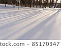 新雪的雪面，在黃昏的光線下長出長長的影子 85170347