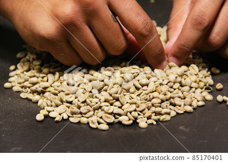 Brazilian coffee beans and sorting work 85170401