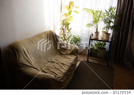 Room with sofa (blurred) Room with sofa (blurred) 85170534