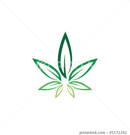 Cannabis logo creative vector icon Cannabis logo creative vector icon 85172262