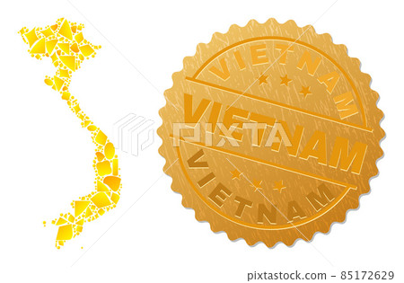 Vietnam Map Collage of Gold and Metallic Vietnam Seal Stamp 85172629