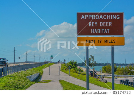 Approaching Key Deer Habitat Sign to protect the endangered deer in the Florida Keys 85174753