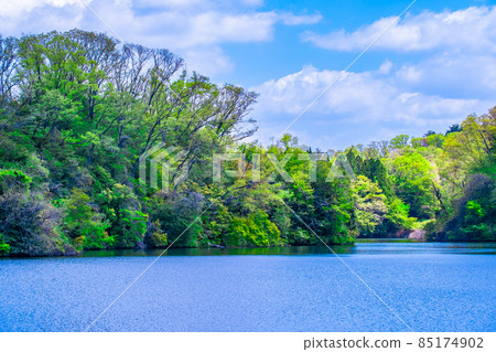 Osaka Prefectural Forest Fresh Green Muroike 85174902