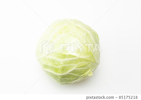 Cabbage white background Cabbage white background 85175218