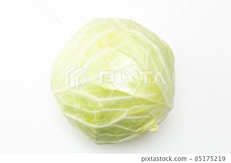 Cabbage white background Cabbage white background 85175219