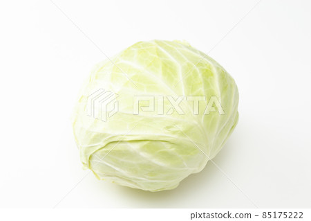白菜白袋 白菜白袋 85175222