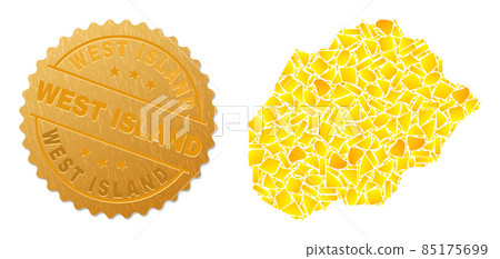 Alegranza Island Map Collage of Gold Fractions and Metal West Island Badge 85175699