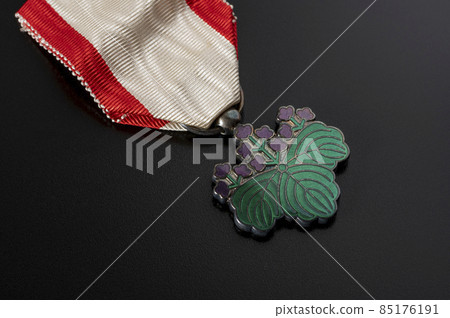 7th Class Blue Paulownia Kiriha 85176191