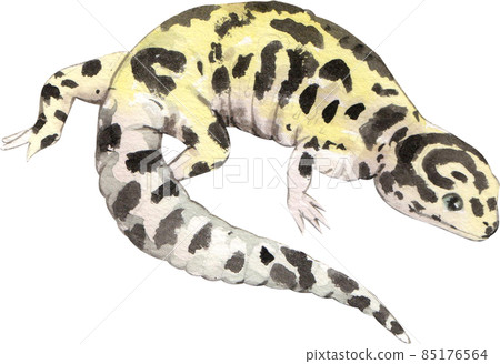 Cartoon amphibians and reptiles watercolor clipart png Cartoon amphibians and reptiles watercolor clipart png 85176564