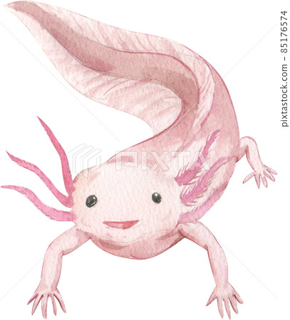 Cartoon amphibians and reptiles watercolor clipart png 85176574