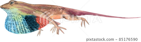 Cartoon amphibians and reptiles watercolor clipart png 85176590