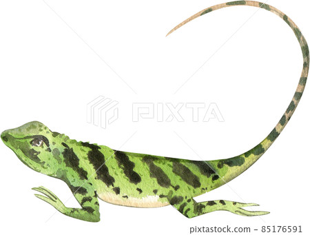 Cartoon amphibians and reptiles watercolor clipart png 85176591