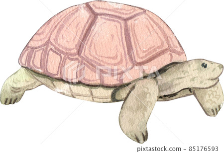Cartoon amphibians and reptiles watercolor clipart png 85176593