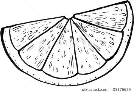 Orange fruit line art handdrawn clipart png Orange fruit line art handdrawn clipart png 85176629