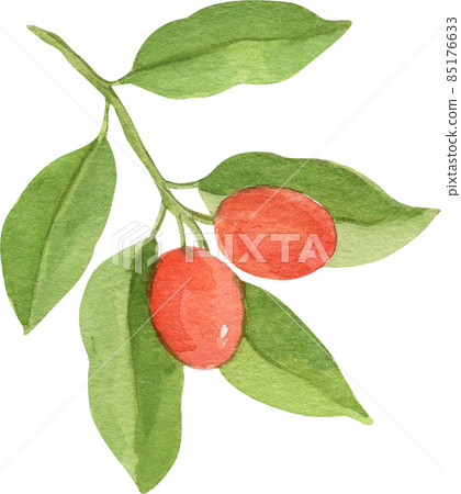Green leaf watercolor clipart png Green leaf watercolor clipart png 85176633