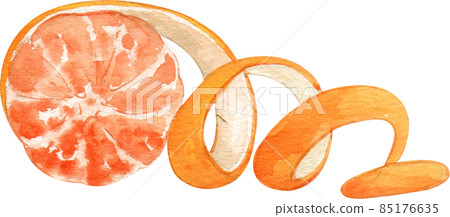 Orange fruit watercolor clipart png Orange fruit watercolor clipart png 85176635