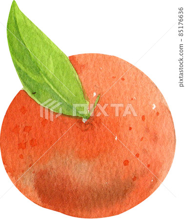 Orange fruit watercolor clipart png Orange fruit watercolor clipart png 85176636