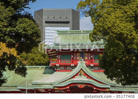 富岡八幡宮 富岡八幡宮 85177408