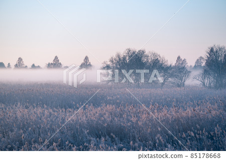 Dawn of Watarase Retarding Ground [Gunma, Tochigi, Saitama, Ibaraki] 85178668