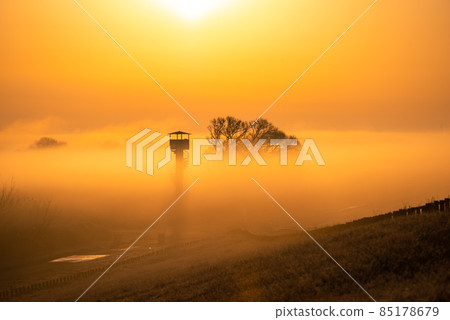 Dawn of Watarase Retarding Ground [Gunma, Tochigi, Saitama, Ibaraki] 85178679