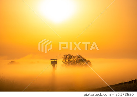 Dawn of Watarase Retarding Ground [Gunma, Tochigi, Saitama, Ibaraki] 85178680