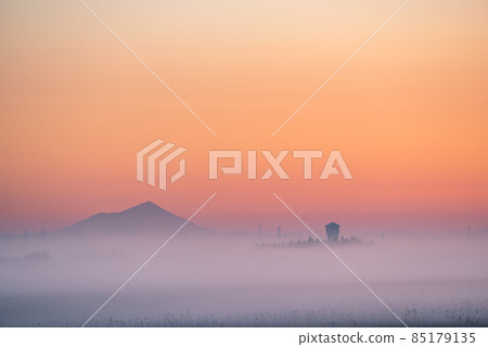 晨霧環繞的筑波山【櫪木縣藤岡渡良瀨體育公園】 85179135