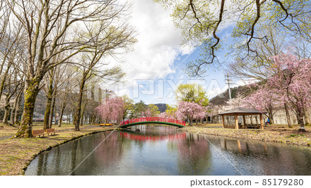 Echigo Yuzawa Sakura in Yuzawa Central Park Echigo Yuzawa Sakura in Yuzawa Central Park 85179280