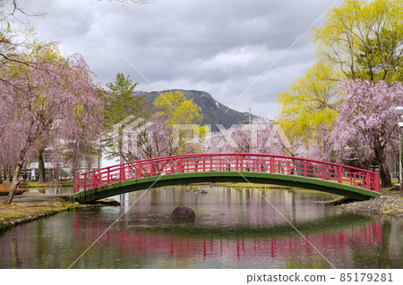 Echigo Yuzawa Sakura in Yuzawa Central Park Echigo Yuzawa Sakura in Yuzawa Central Park 85179281