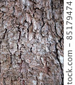 Bark of Norway spruce 1 85179474