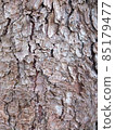 German spruce bark 3 85179477