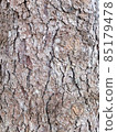German spruce bark 4 85179478
