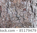 German spruce bark 5 85179479