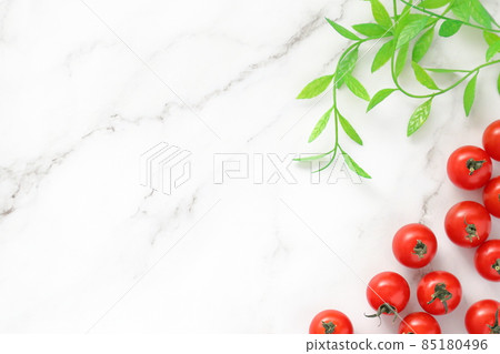 迷你西紅柿和植物 85180496