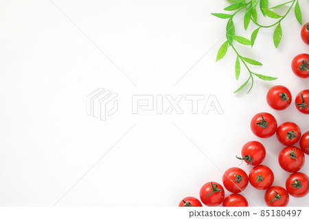 迷你西紅柿和植物 85180497