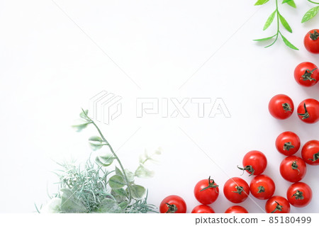 迷你西紅柿和植物 85180499
