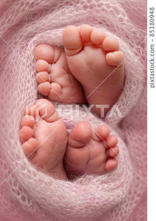 Feet of newborn twins. Two pairs of baby feet in a pink knitted blanket. Close up of toes, heels and feet of a newborn baby. The tiny foot of a newborn brothers, sisters. Studio Macro photography Feet of newborn twins. Two pairs of baby feet in a pink knitted blanket. Close up of toes, heels and feet of a newborn baby. The tiny foot of a newborn brothers, sisters. Studio Macro photography 85180948