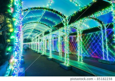 讀賣樂園的夜景 85182238