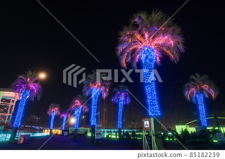 讀賣樂園的夜景 85182239