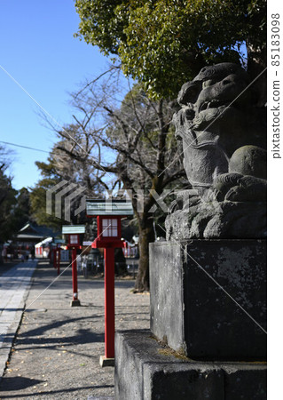 (Traditional scenery) Follow the approach to the shrine toward the hall of worship: Vertical composition Washinomiya Shrine, Kuki City, Saitama Prefecture (Traditional scenery) Follow the approach to the shrine toward the hall of worship: Vertical composition Washinomiya Shrine, Kuki City, Saitama Prefecture 85183098