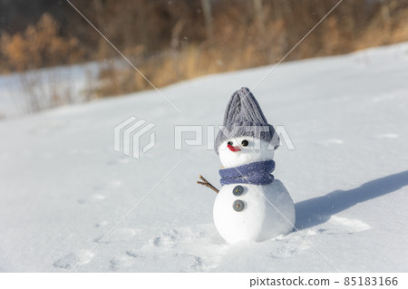 戴灰色帽子的雪人 85183166
